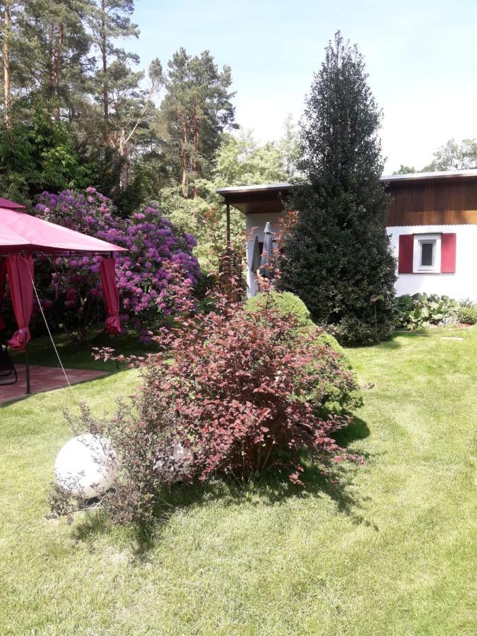 Ferienhaus Am Langen See Heidesee Ngoại thất bức ảnh