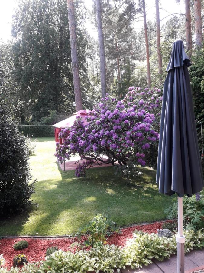 Ferienhaus Am Langen See Heidesee Ngoại thất bức ảnh